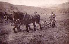Two horses and plough at  Sherwood House Farm c.1937